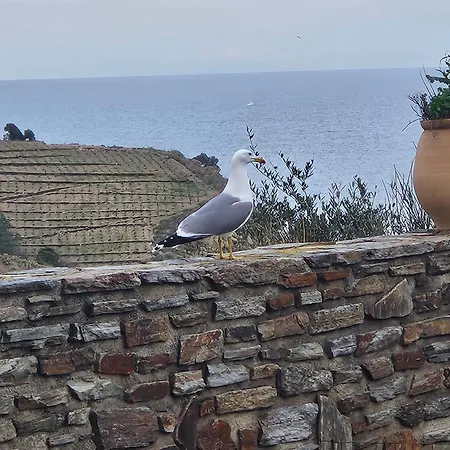 Climatise Sur Face A La Lejlighed Banyuls-sur-Mer