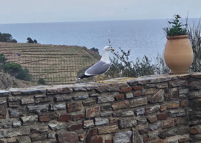 Sur Face à La Apartamento Banyuls-sur-Mer